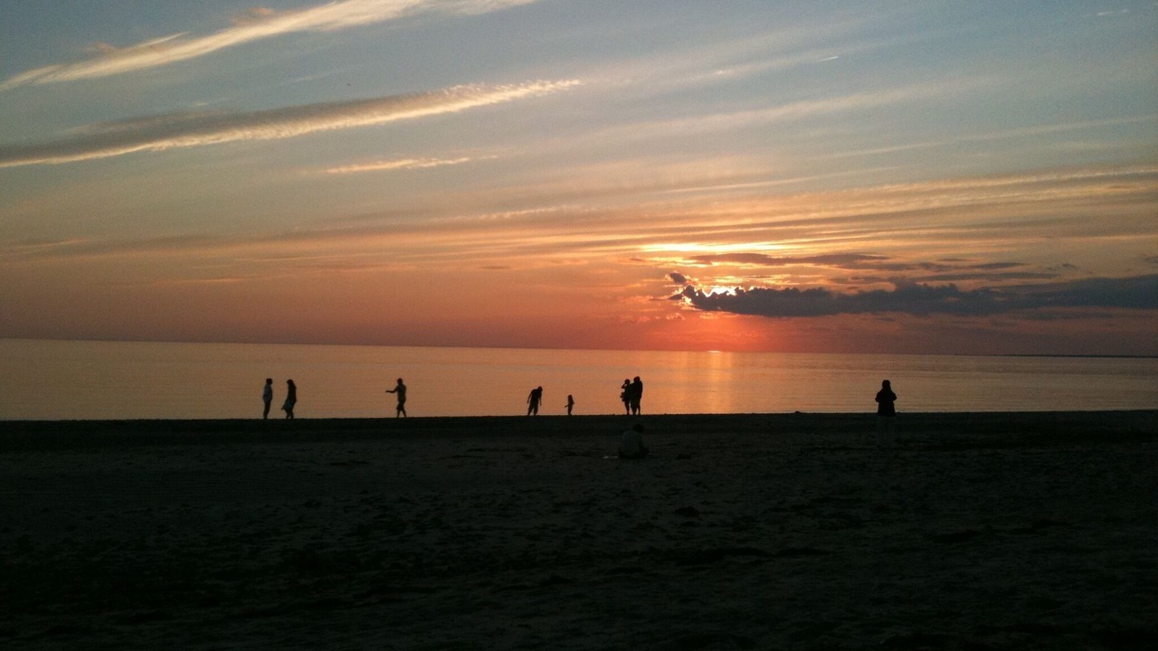 Photo of Others in Wellfleet