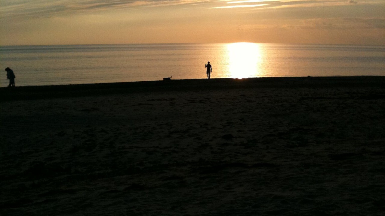 Photo of Others in Wellfleet