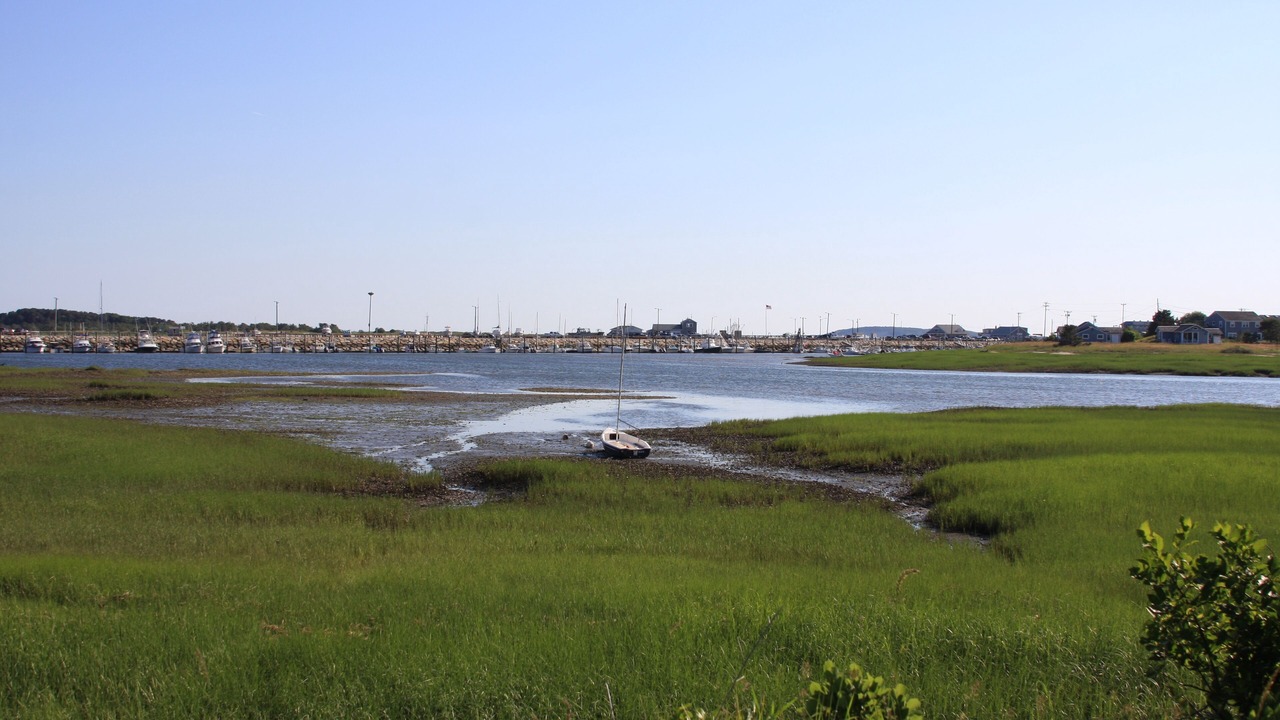 Photo of Others in Wellfleet