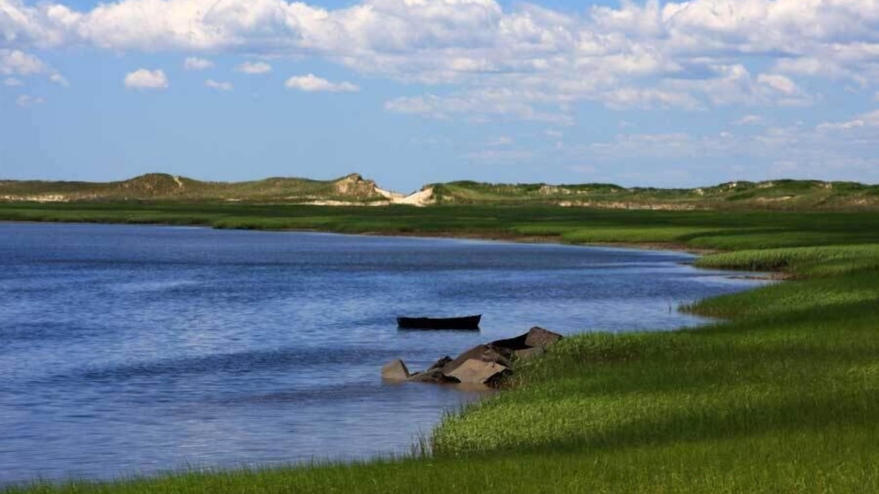 Photo of Others in Wellfleet