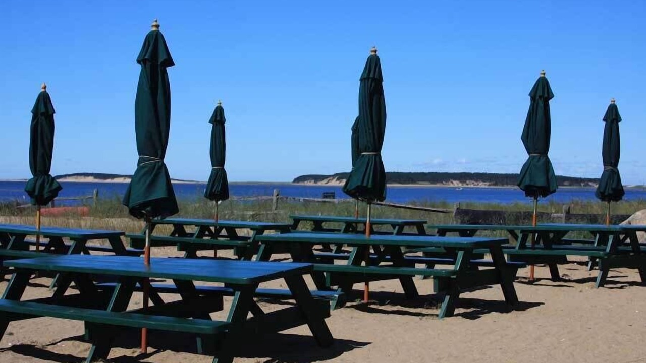 Photo of Others in Wellfleet