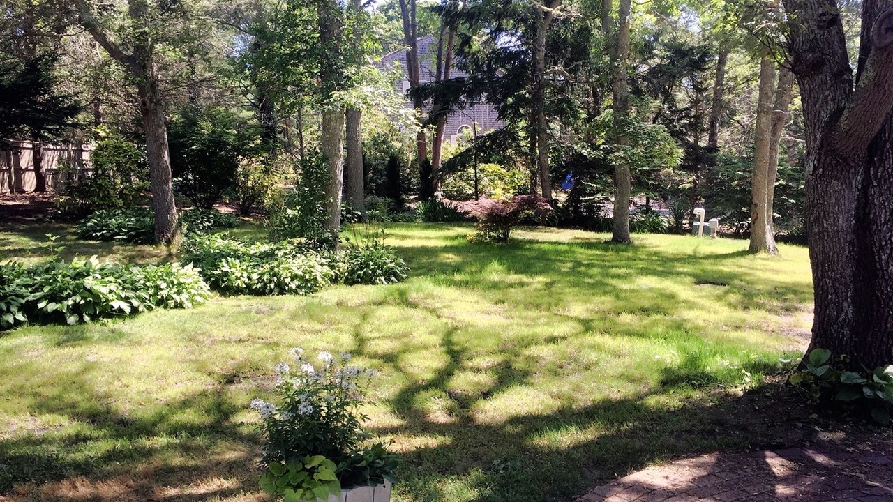 Photo of Outdoor in South Orleans