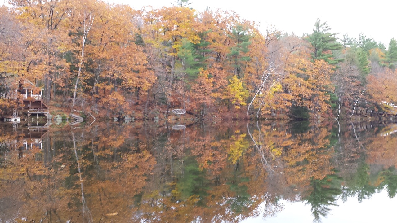 Photo of Others in Farmington Falls