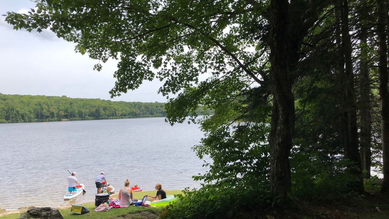 Photo of Others in West Wardsboro
