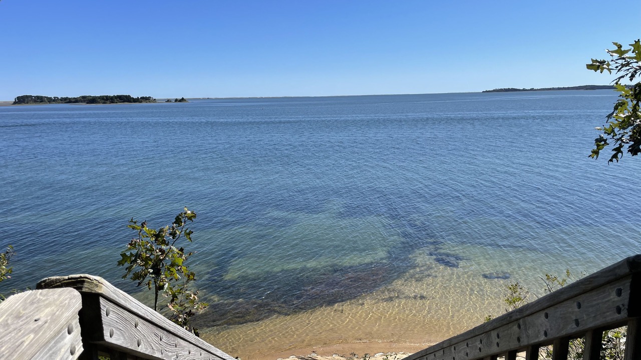 Photo of Outdoor in South Orleans