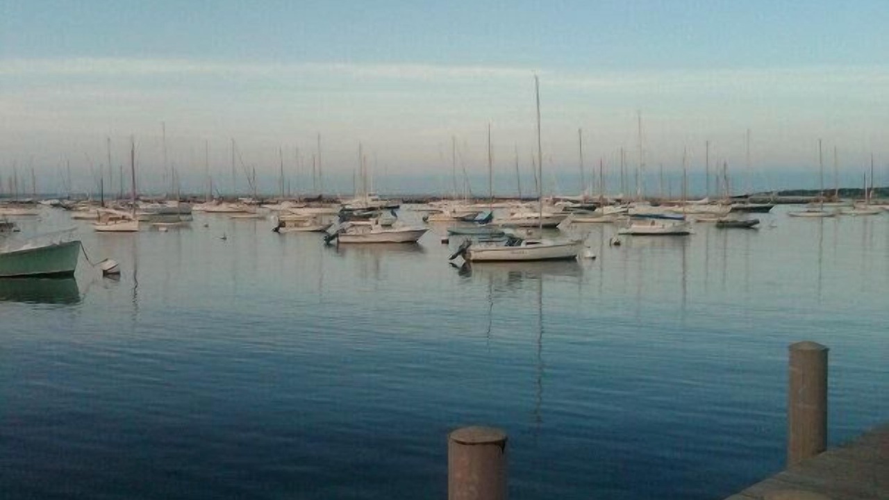 Photo of Others in Edgartown