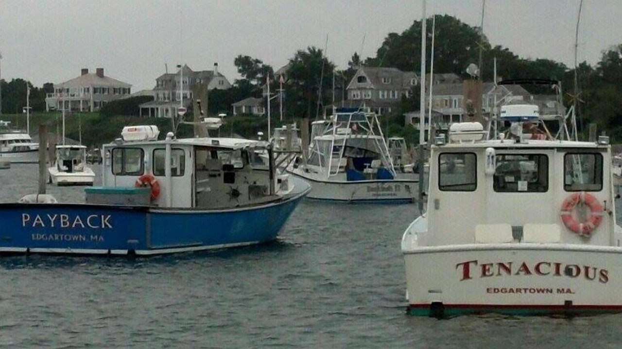 Photo of Others in Edgartown