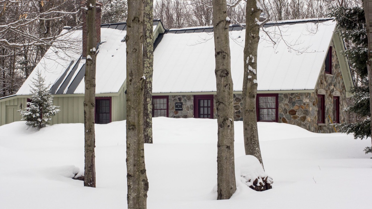 Photo of Others in Stowe Area
