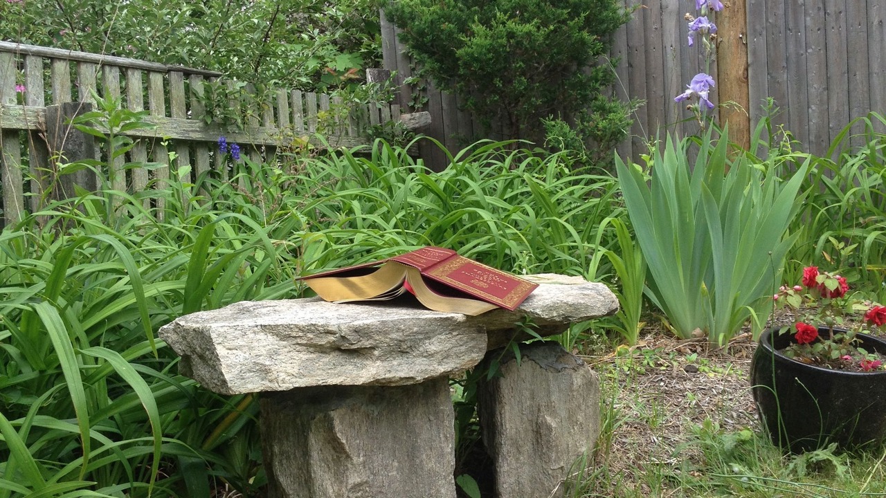Photo of Outdoor in Tisbury