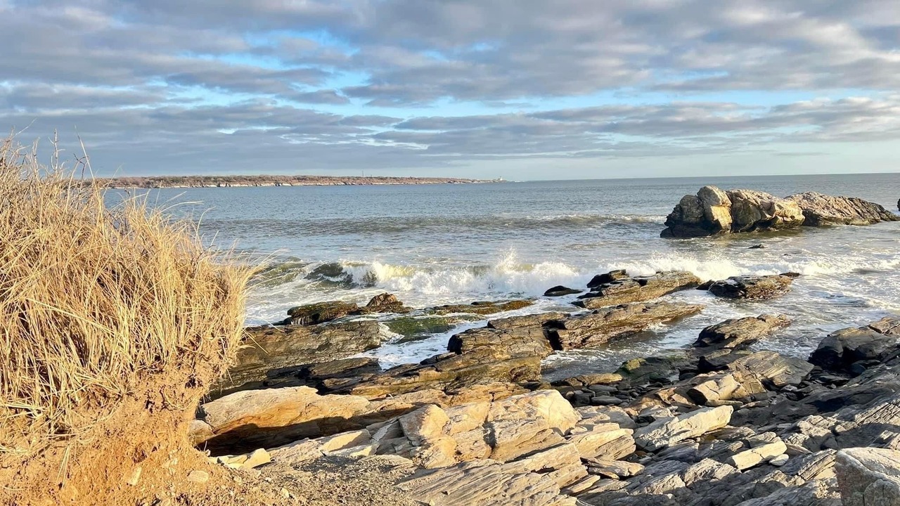 Photo of Others in Bonnet Shores