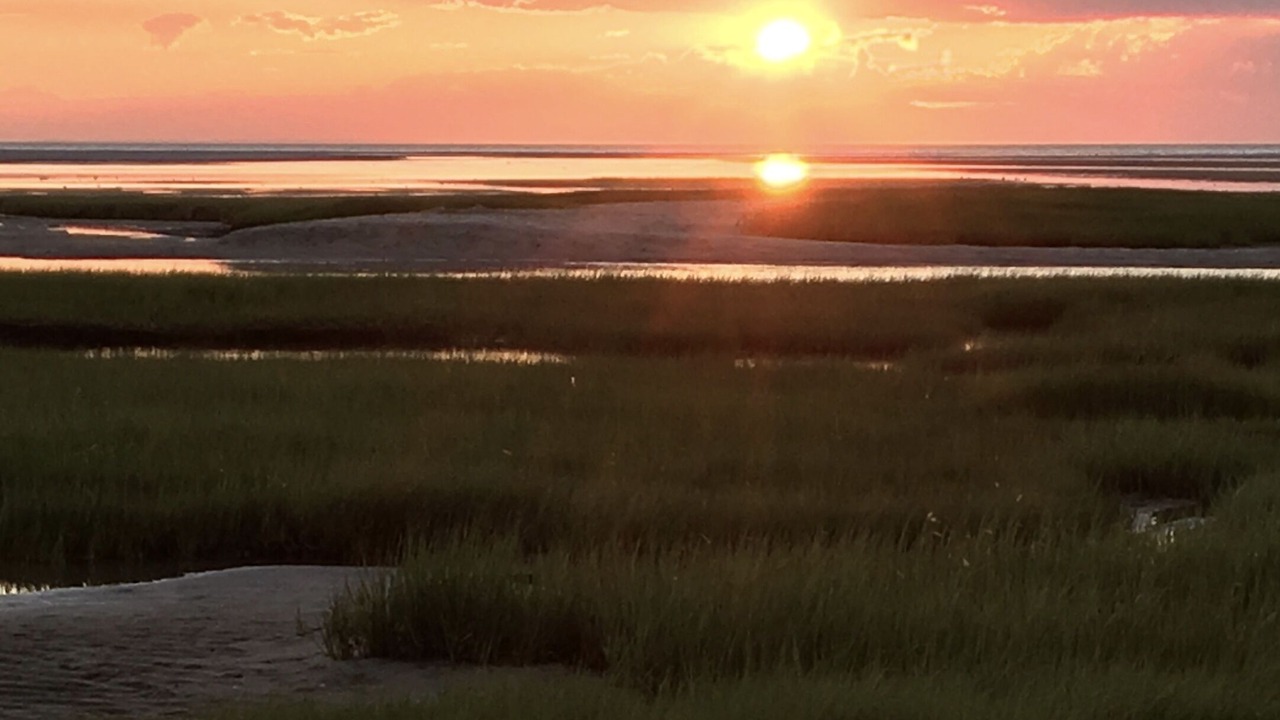 Photo of Others in Brewster