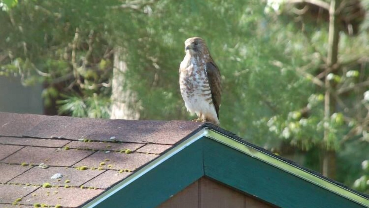 Photo of Outdoor in Gray