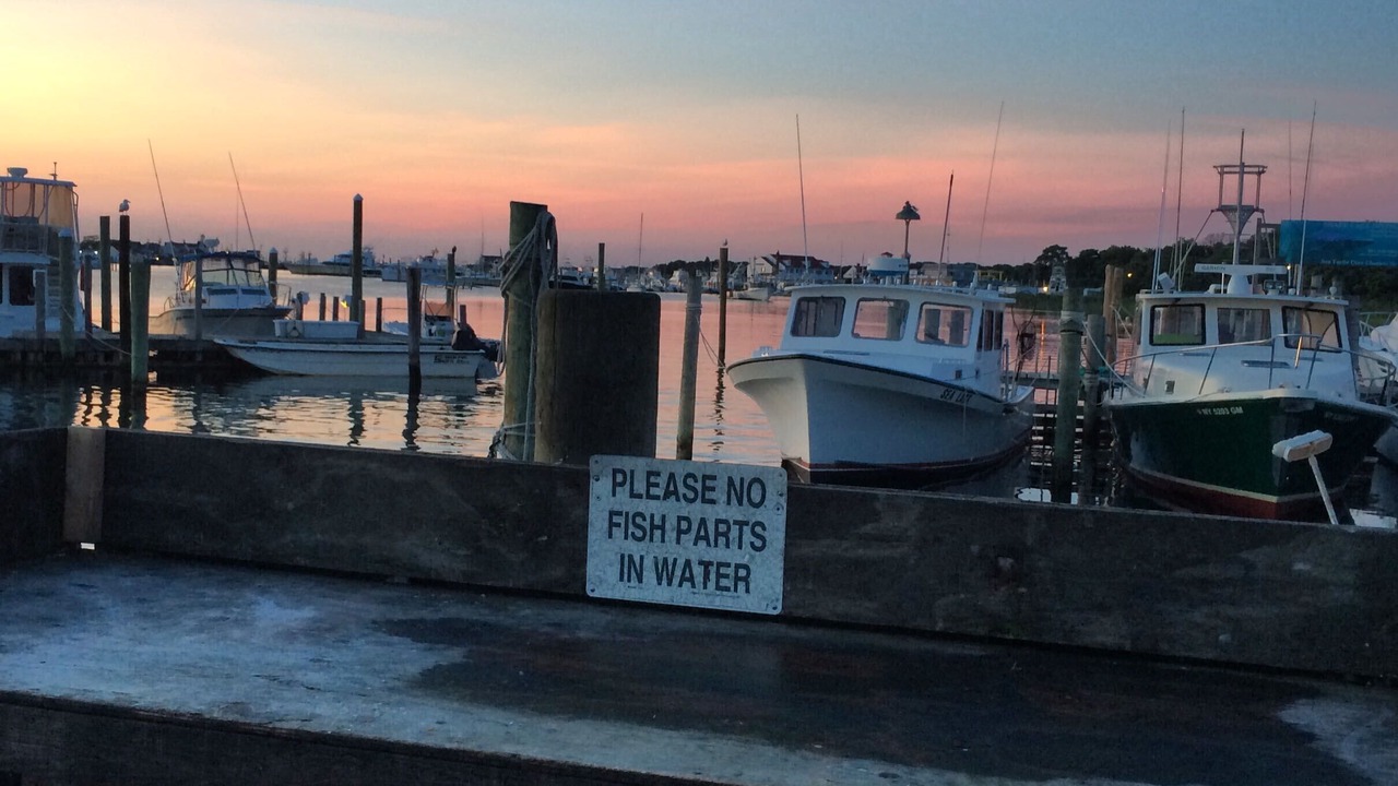 Photo of Outdoor in Montauk