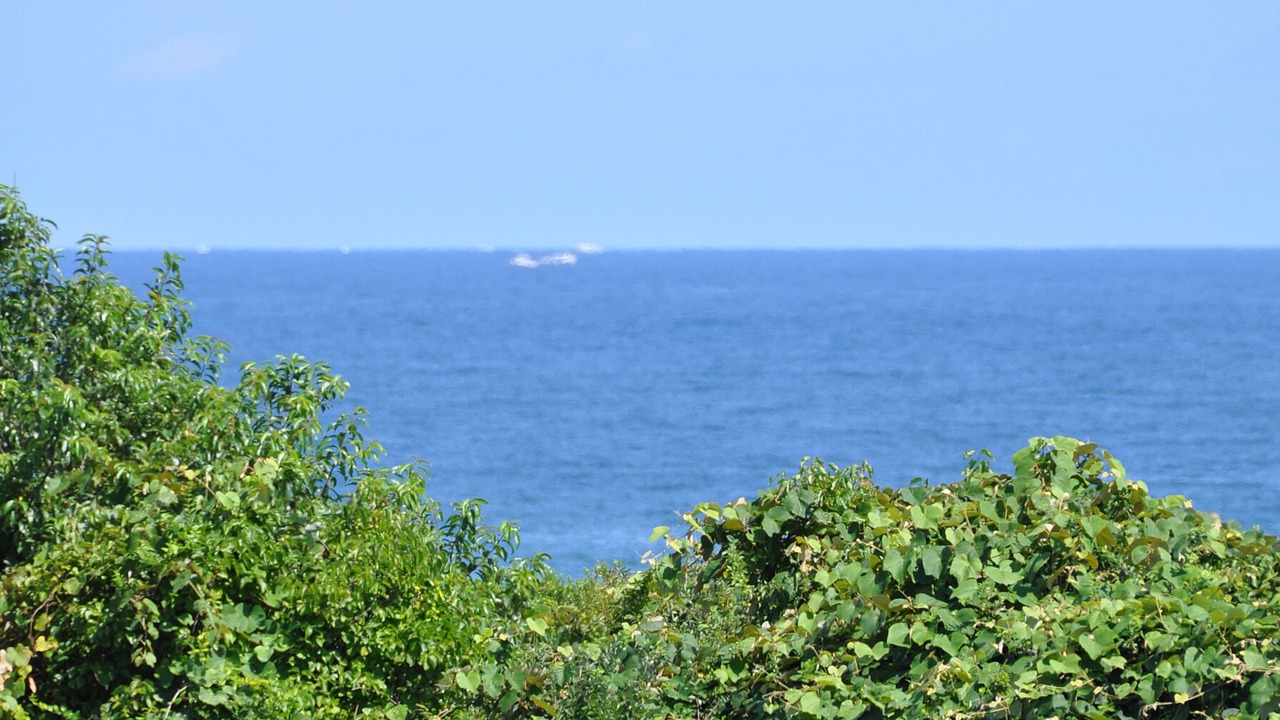 Photo of Others in Montauk