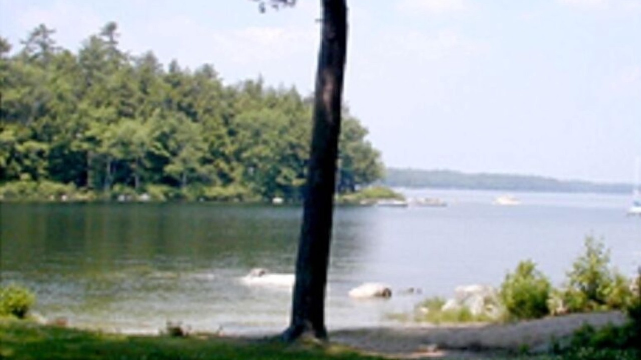 Photo of Others in South Casco
