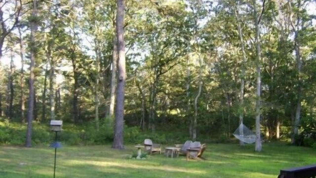 Photo of Outdoor in West Tisbury