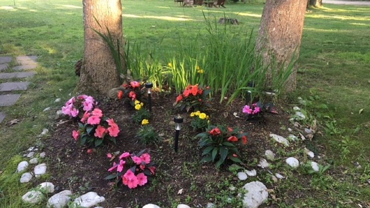Photo of Outdoor in West Tisbury