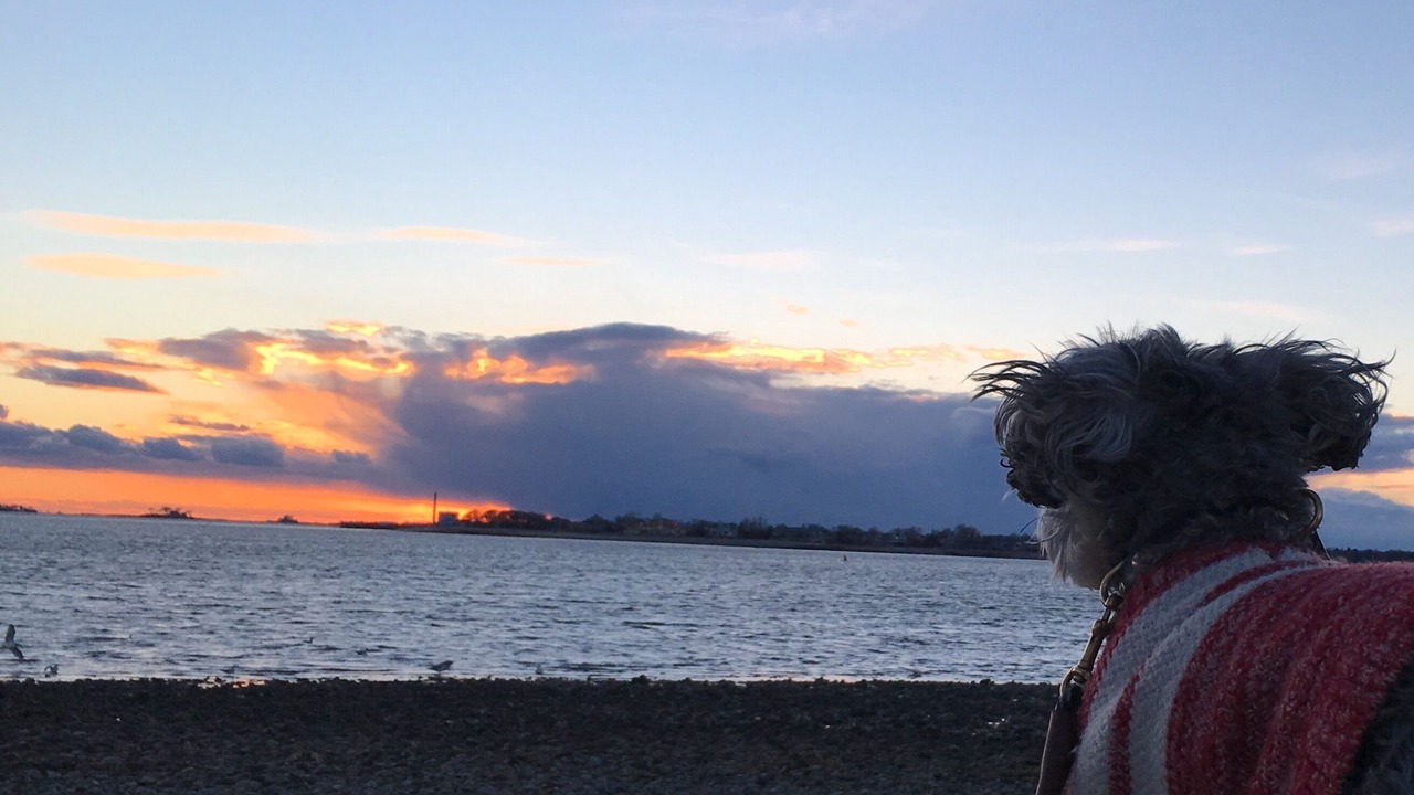 Photo of Others in Westport