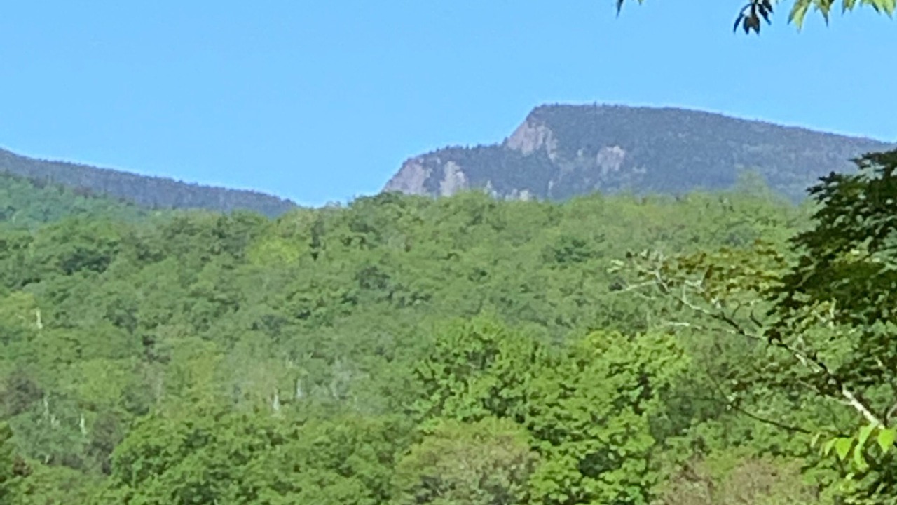 Photo of Others in Jackson