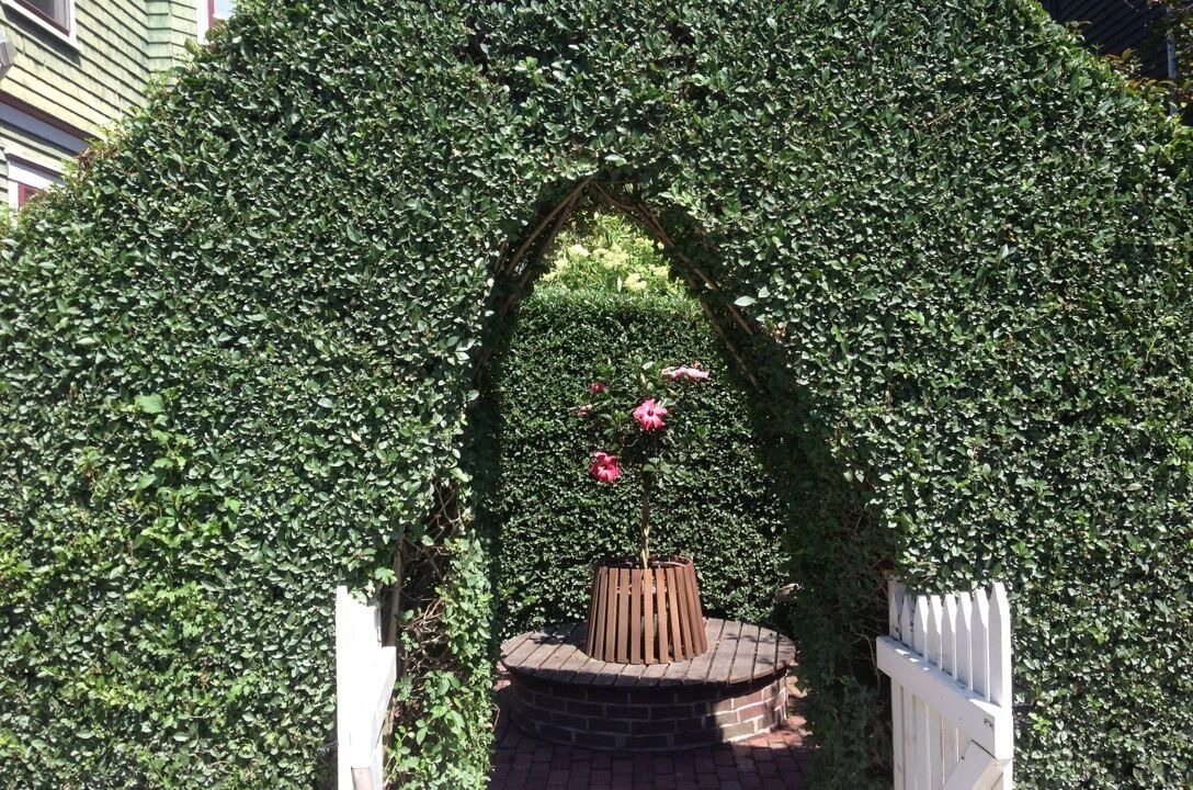 Photo of Outdoor in The Point