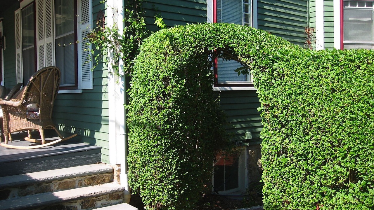 Photo of Outdoor in The Point
