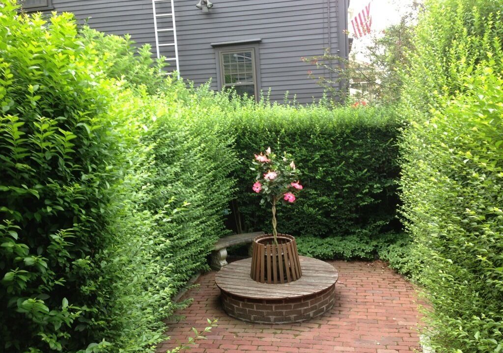 Photo of Outdoor in The Point