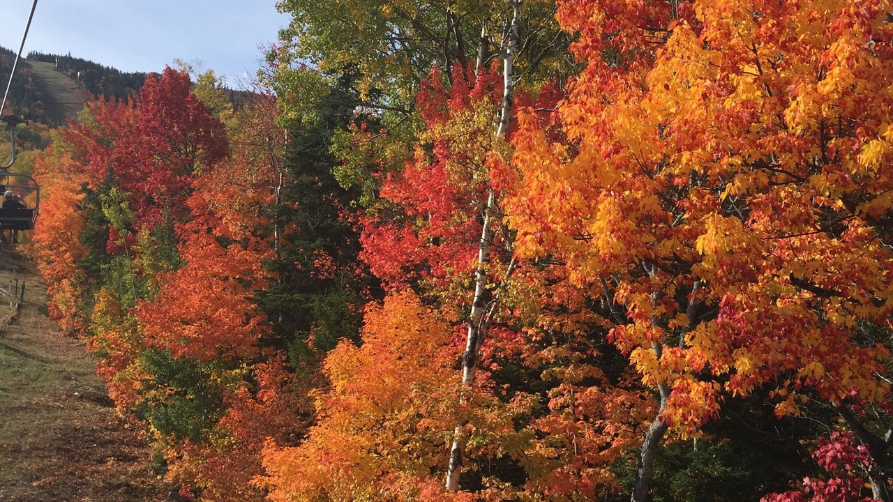 Photo of Others in Carrabassett Valley