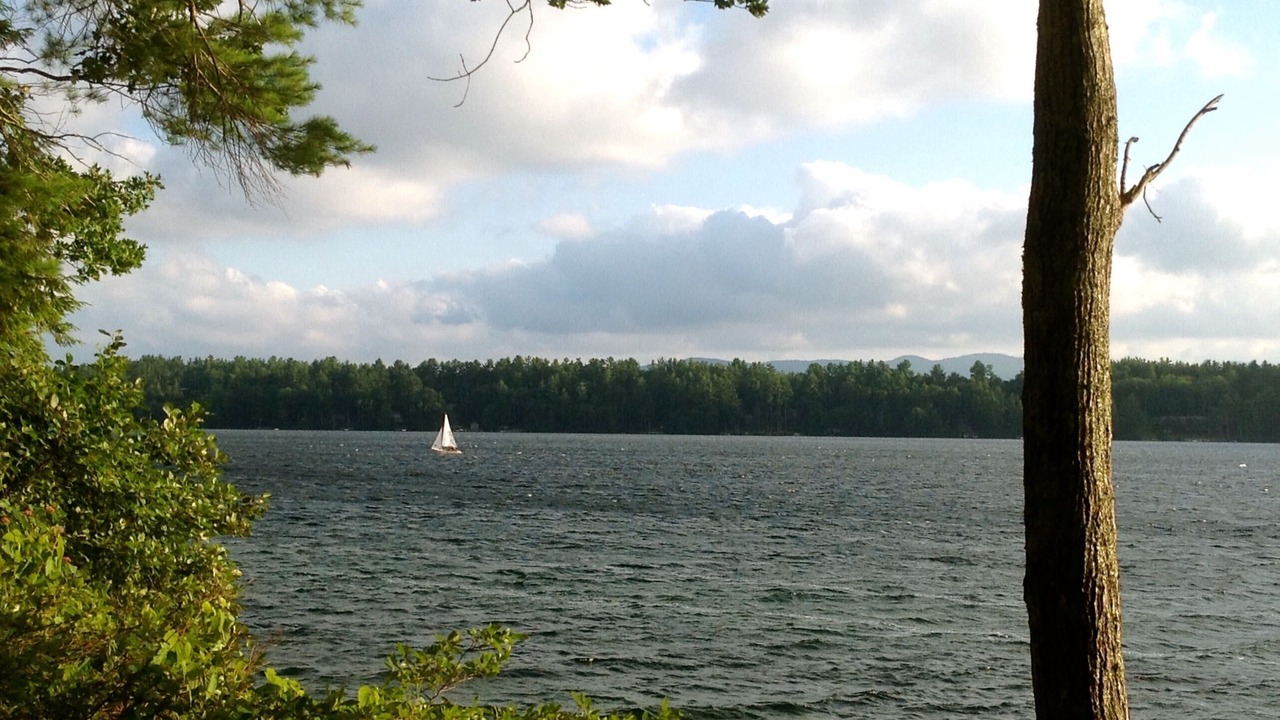 Photo of Others in Wolfeboro