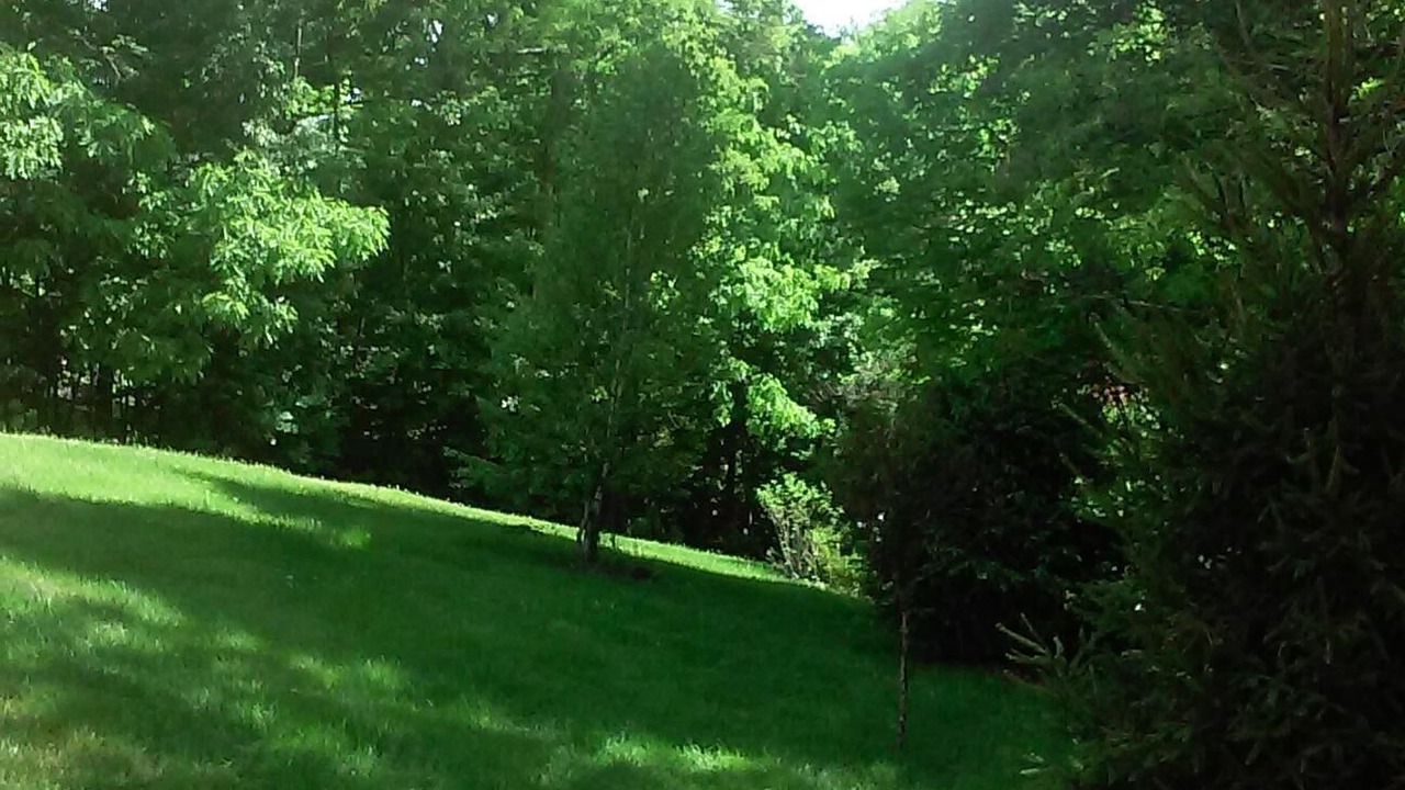 Photo of Outdoor in Brainard
