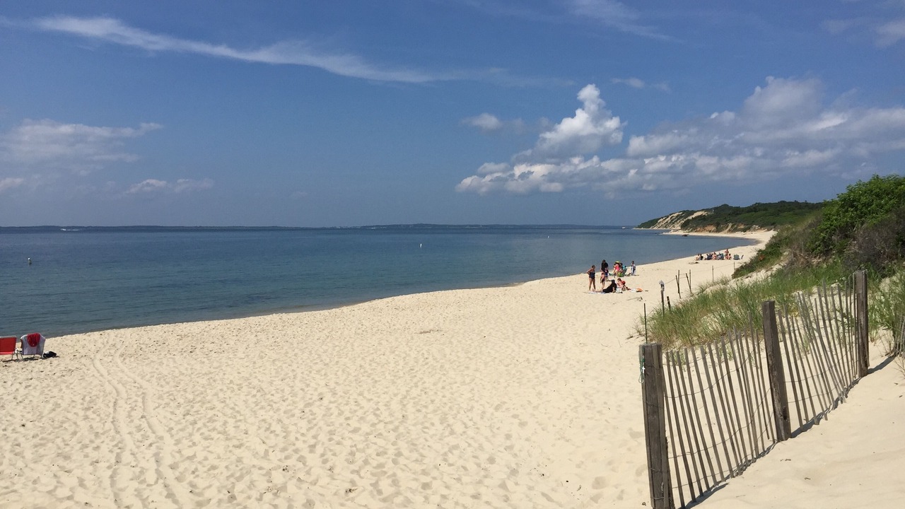 Photo of Others in West Tisbury