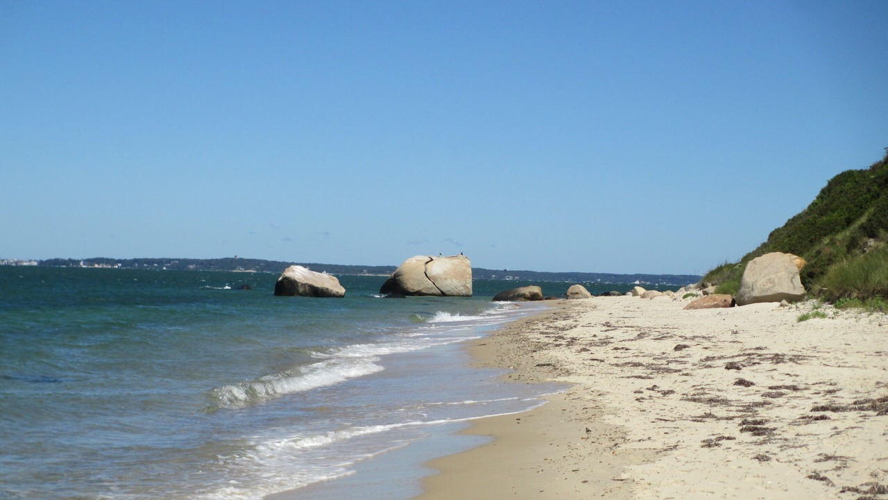 Photo of Others in West Tisbury