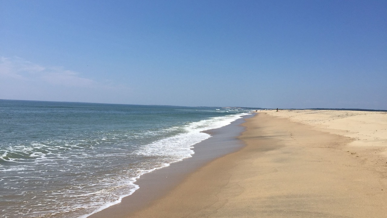 Photo of Others in West Tisbury
