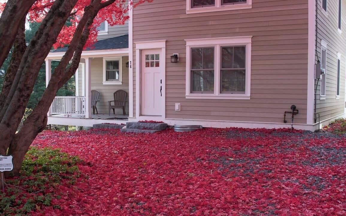 Photo of Outdoor in Lenox