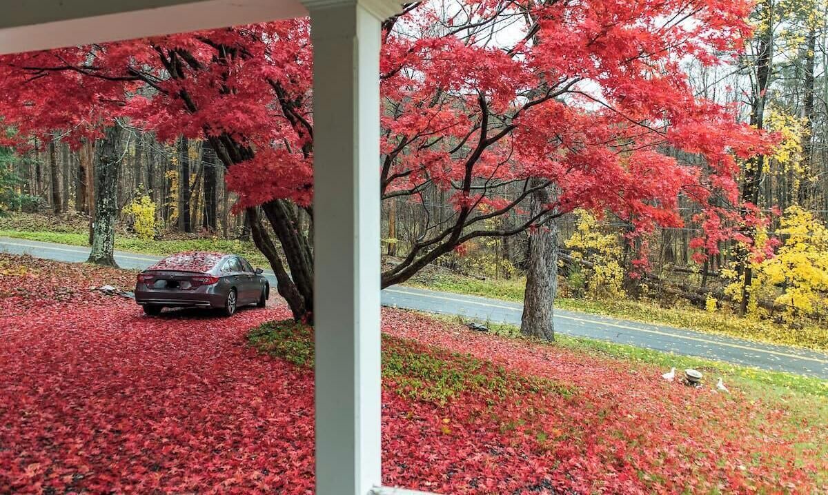 Photo of Outdoor in Lenox