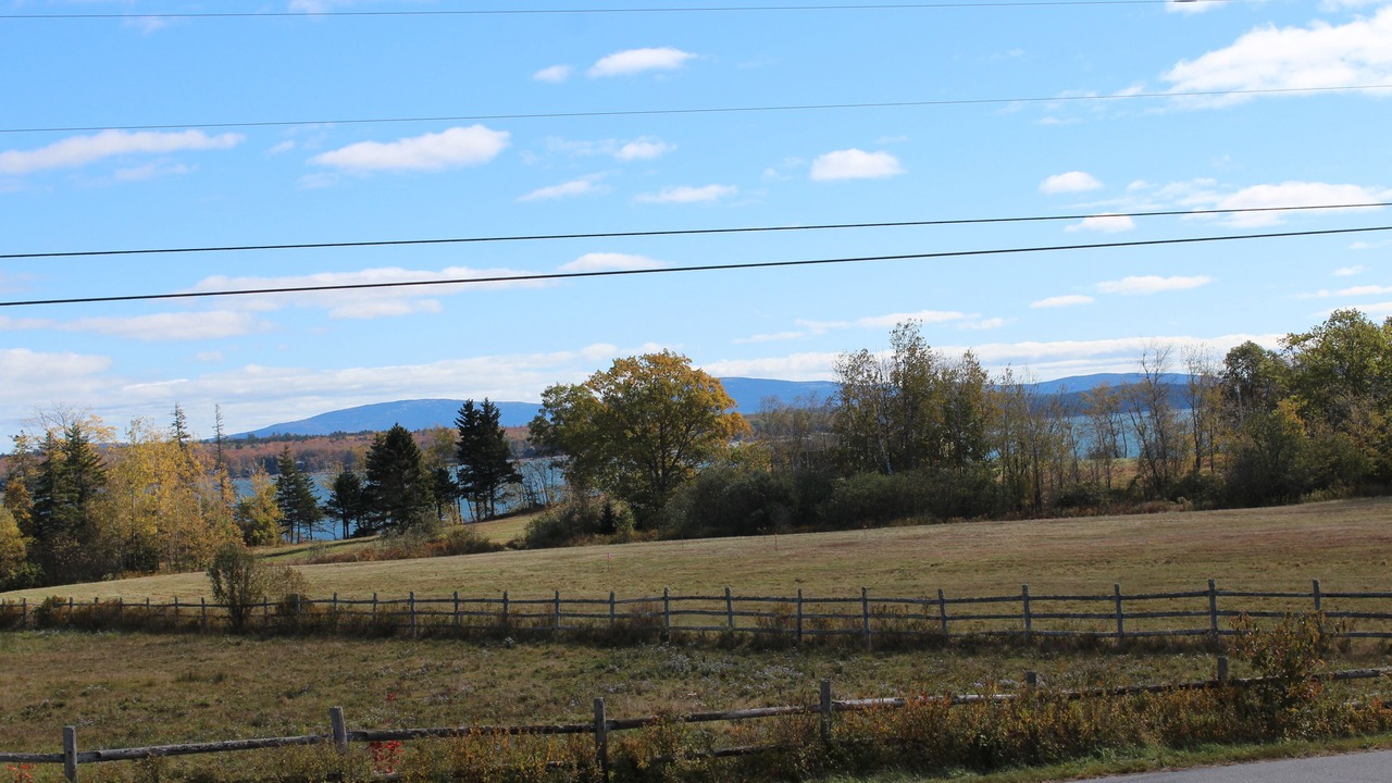Photo of Others in Surry
