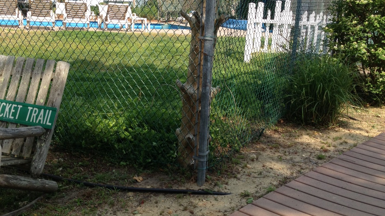 Photo of Outdoor in Bass River