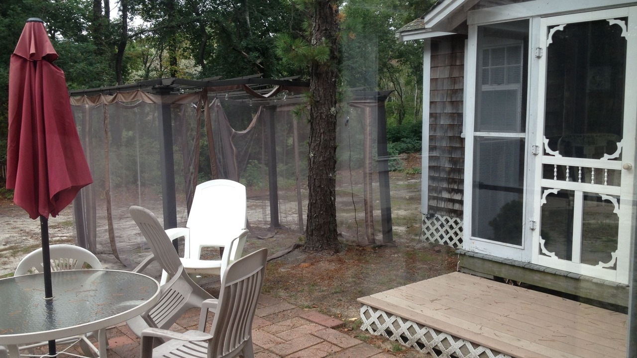 Photo of Outdoor in Bass River