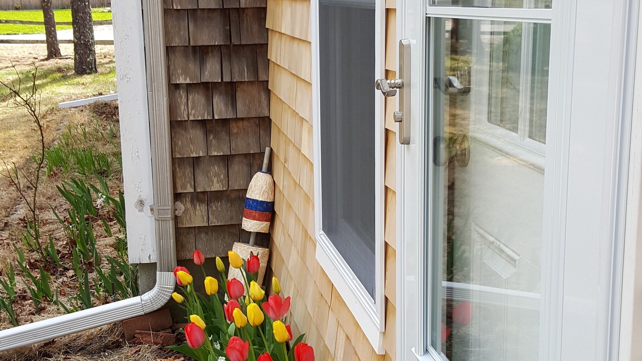 Photo of Outdoor in West Yarmouth