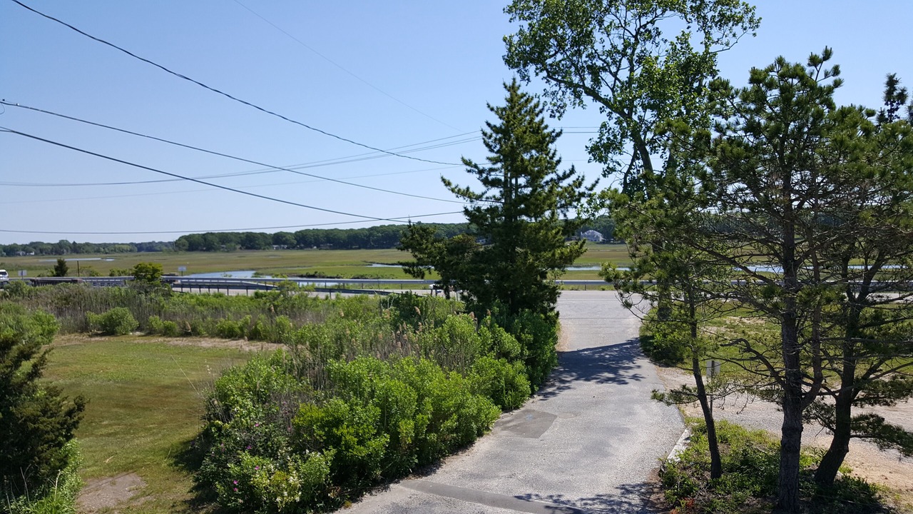 Photo of Others in Middlesex County