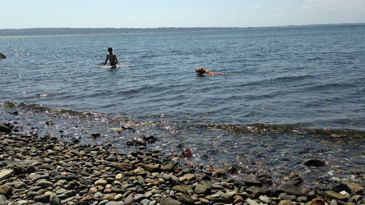 Photo of Others in Portsmouth