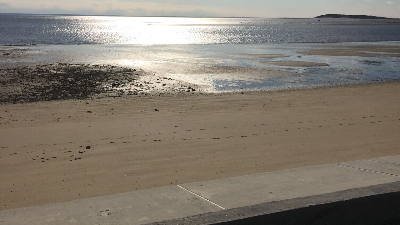 Photo of Others in Wellfleet