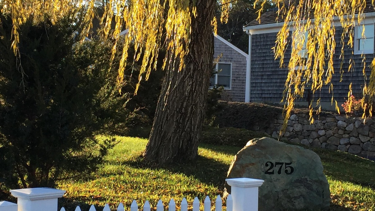 Photo of Outdoor in Wellfleet