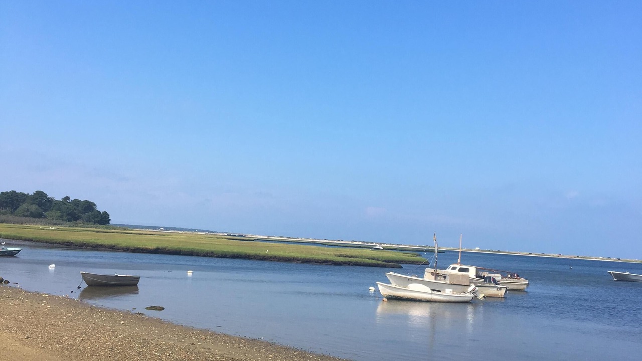 Photo of Others in Edgartown
