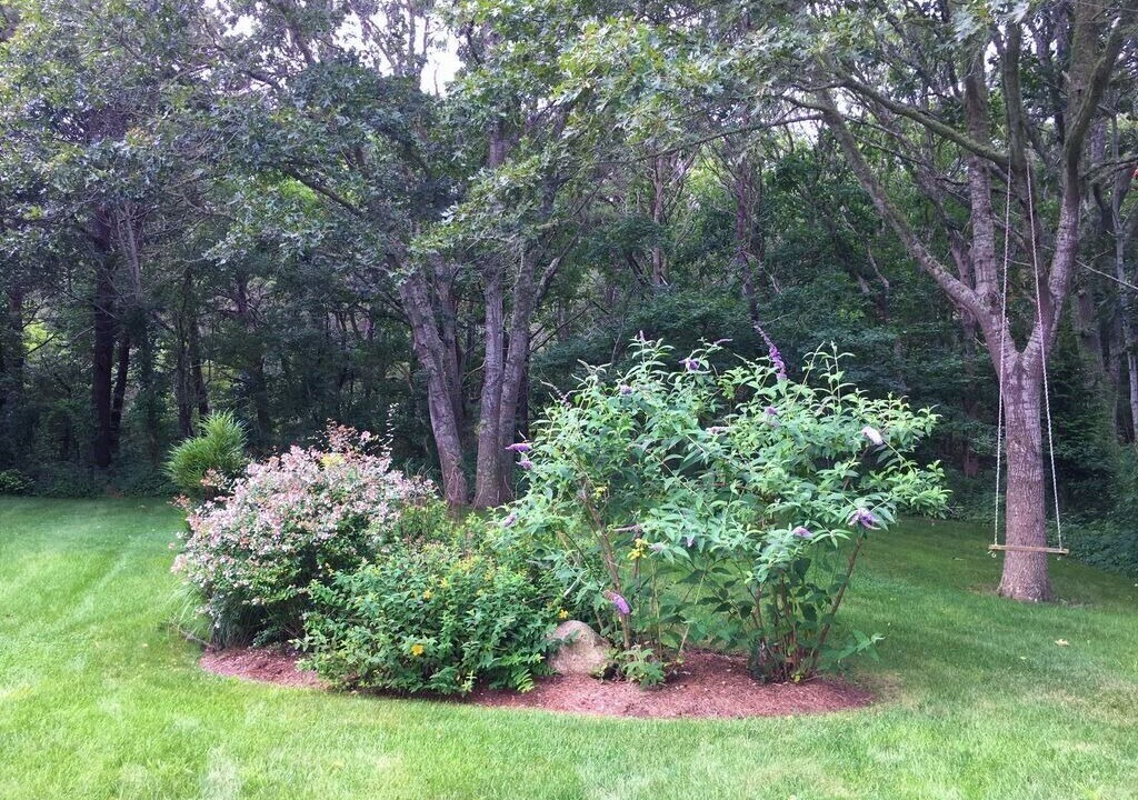 Photo of Others in Edgartown