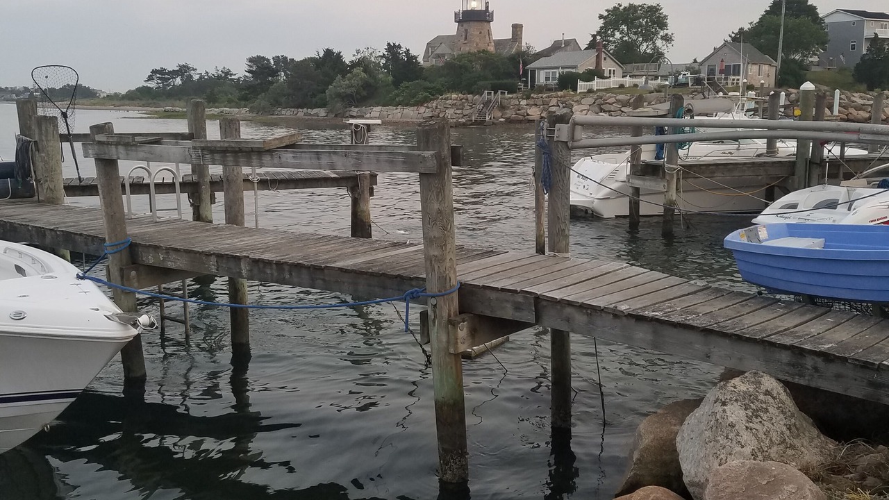 Photo of Others in Snug Harbor