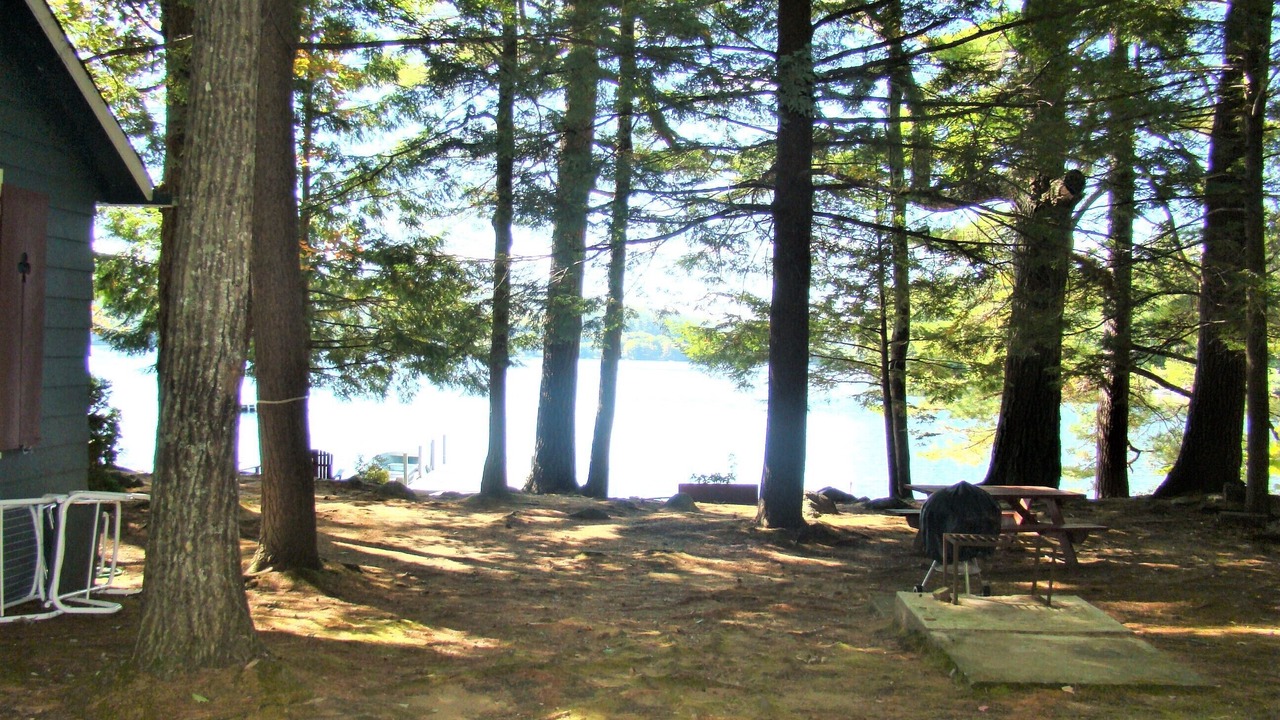 Photo of Outdoor in Holderness