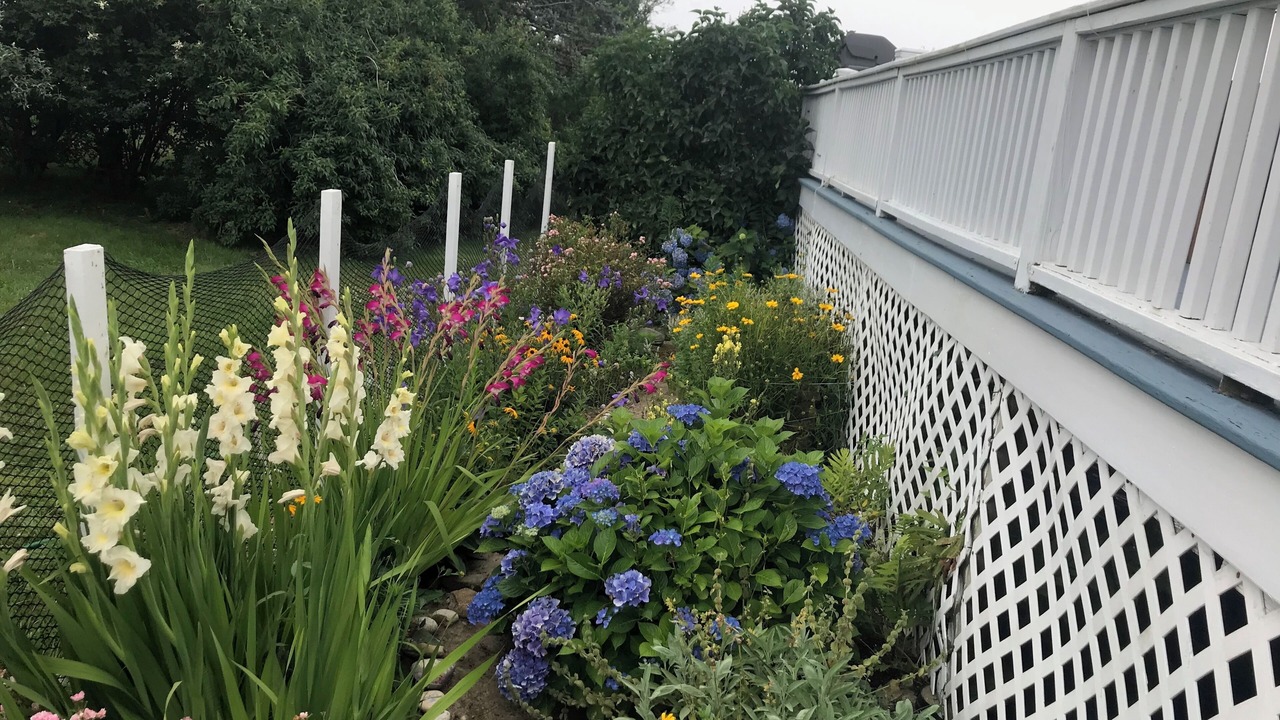 Photo of Outdoor in Block Island
