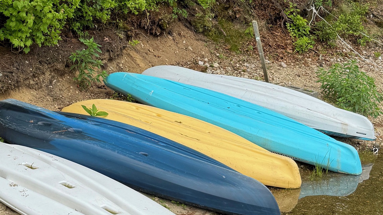 Photo of Others in East Falmouth