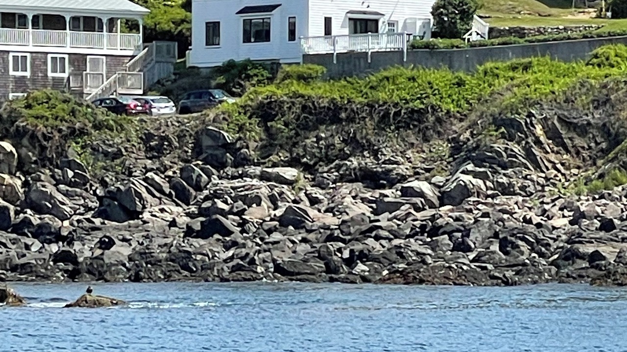 Photo of Outdoor in York Beach