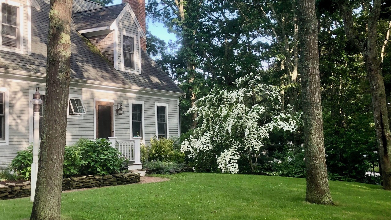 Photo of Outdoor in Mashpee Neck